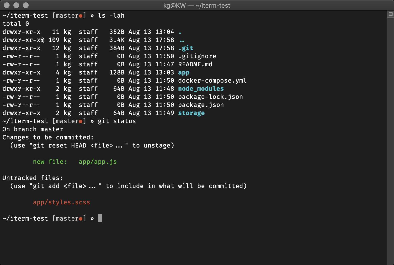 terminal oh-my-zsh